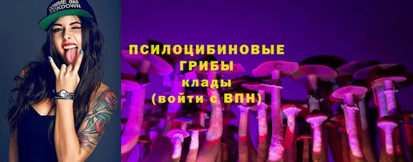 хмурый Зеленокумск