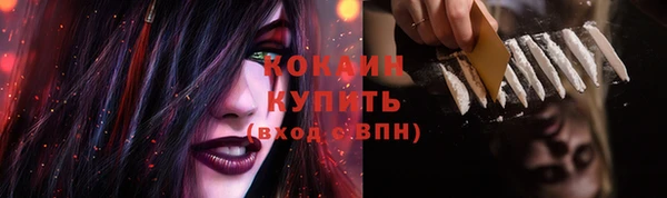 хмурый Зеленокумск