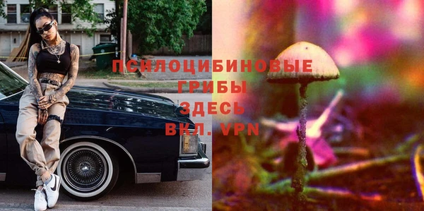 хмурый Зеленокумск
