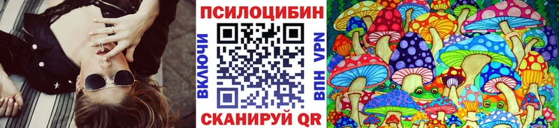 Купить где  Новосокольники  Галлюциногенные грибы Psilocybe 